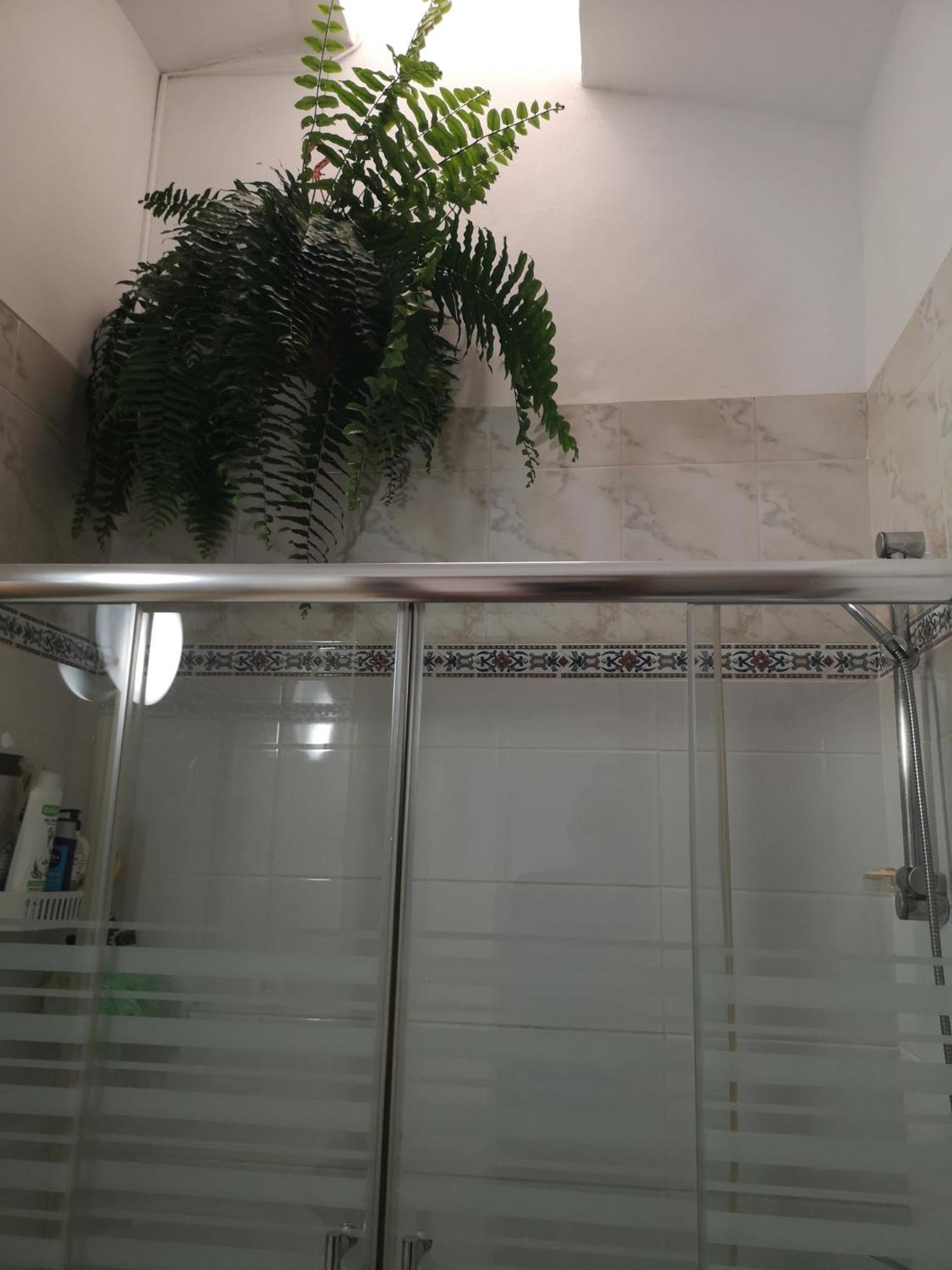ماسبالوماس Yumbo Room المظهر الخارجي الصورة