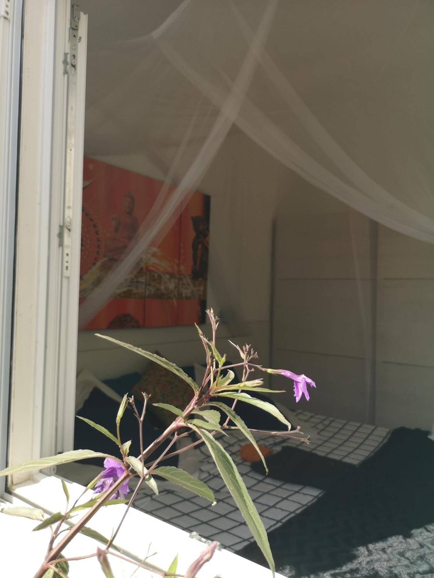 ماسبالوماس Yumbo Room المظهر الخارجي الصورة